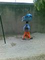 Tanzania (53)